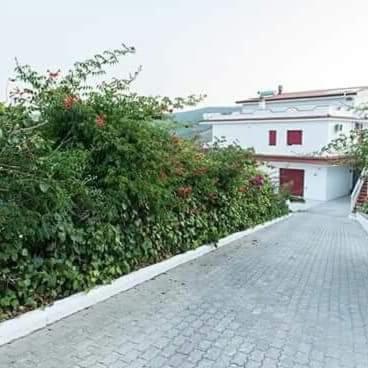Villa Milena Apartments & Rooms Agropoli Exterior foto
